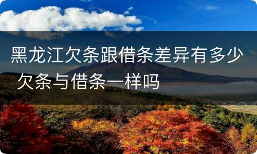 黑龙江欠条跟借条差异有多少 欠条与借条一样吗