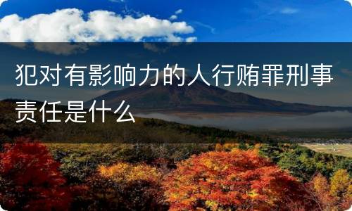 犯对有影响力的人行贿罪刑事责任是什么
