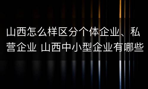 山西怎么样区分个体企业、私营企业 山西中小型企业有哪些