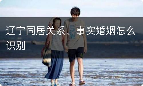 辽宁同居关系、事实婚姻怎么识别
