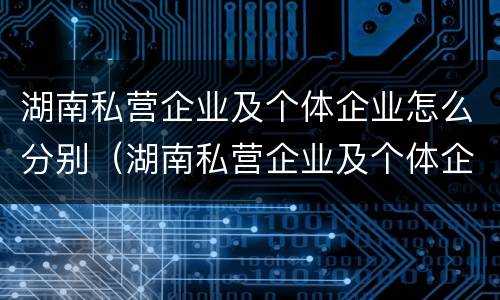 湖南私营企业及个体企业怎么分别（湖南私营企业及个体企业怎么分别认证）