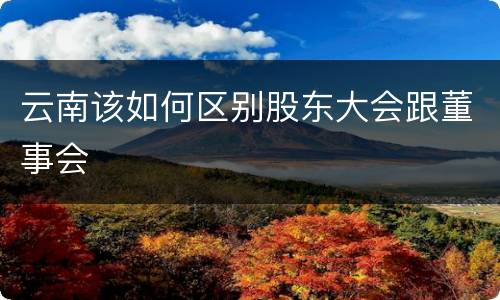 云南该如何区别股东大会跟董事会