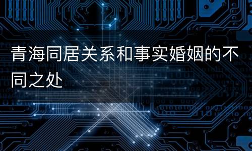 青海同居关系和事实婚姻的不同之处
