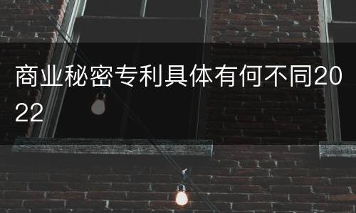 商业秘密专利具体有何不同2022