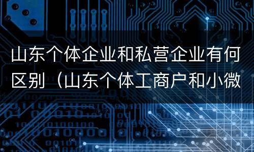 山东个体企业和私营企业有何区别（山东个体工商户和小微企业）