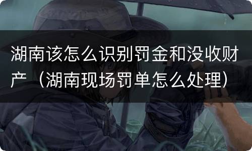湖南该怎么识别罚金和没收财产（湖南现场罚单怎么处理）