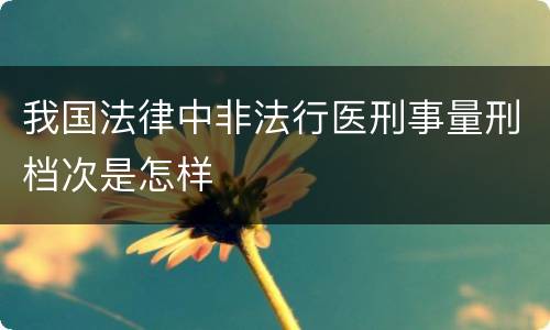 我国法律中非法行医刑事量刑档次是怎样