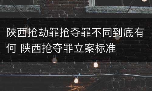 陕西抢劫罪抢夺罪不同到底有何 陕西抢夺罪立案标准
