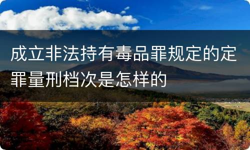 成立非法持有毒品罪规定的定罪量刑档次是怎样的