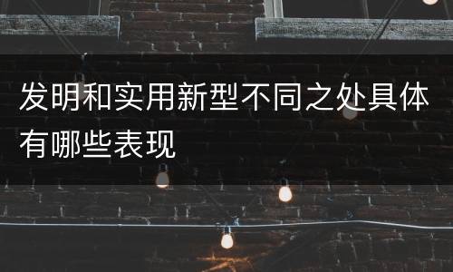 发明和实用新型不同之处具体有哪些表现