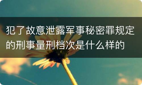 犯了故意泄露军事秘密罪规定的刑事量刑档次是什么样的