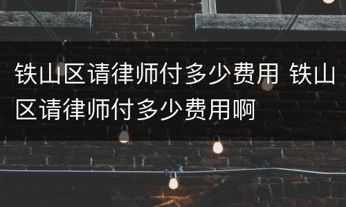 铁山区请律师付多少费用 铁山区请律师付多少费用啊