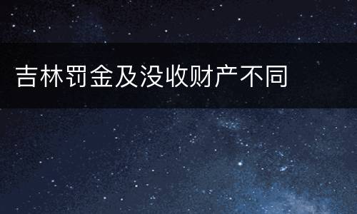 吉林罚金及没收财产不同