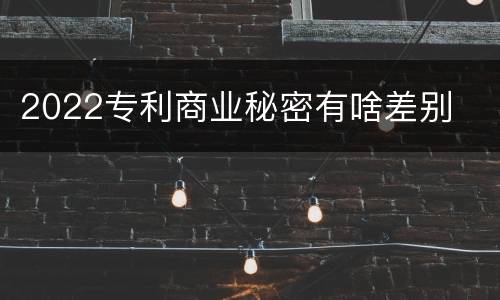 2022专利商业秘密有啥差别