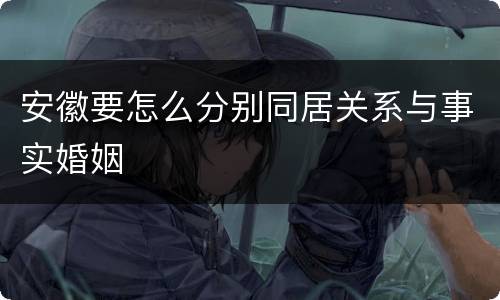 安徽要怎么分别同居关系与事实婚姻