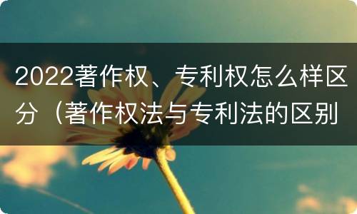 2022著作权、专利权怎么样区分（著作权法与专利法的区别）