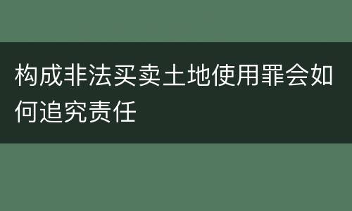 构成非法买卖土地使用罪会如何追究责任