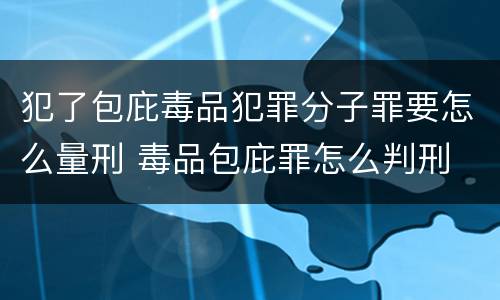 犯了包庇毒品犯罪分子罪要怎么量刑 毒品包庇罪怎么判刑