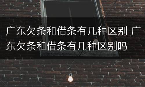 广东欠条和借条有几种区别 广东欠条和借条有几种区别吗