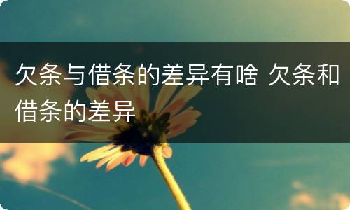 欠条与借条的差异有啥 欠条和借条的差异