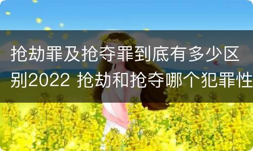 抢劫罪及抢夺罪到底有多少区别2022 抢劫和抢夺哪个犯罪性质严重