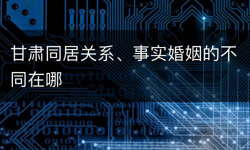 甘肃同居关系、事实婚姻的不同在哪