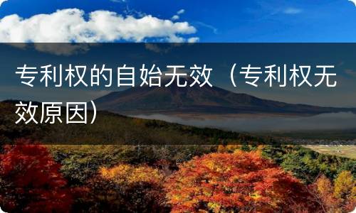 专利权的自始无效（专利权无效原因）