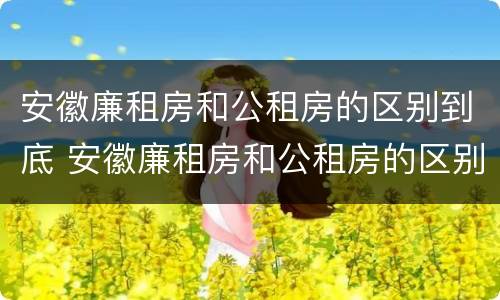 安徽廉租房和公租房的区别到底 安徽廉租房和公租房的区别到底是什么