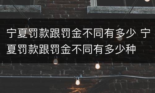 宁夏罚款跟罚金不同有多少 宁夏罚款跟罚金不同有多少种