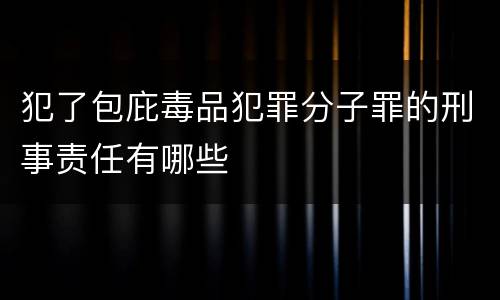 犯了包庇毒品犯罪分子罪的刑事责任有哪些