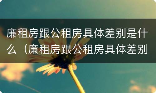 廉租房跟公租房具体差别是什么（廉租房跟公租房具体差别是什么样的）