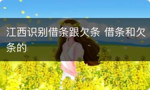江西识别借条跟欠条 借条和欠条的