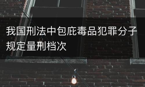 我国刑法中包庇毒品犯罪分子规定量刑档次