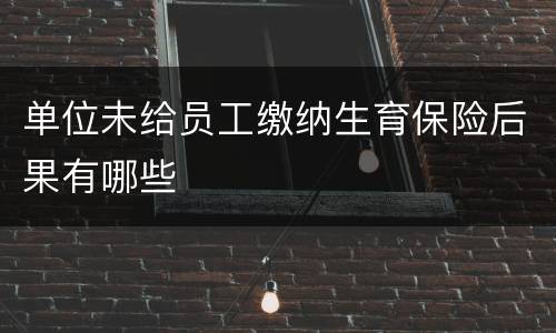 单位未给员工缴纳生育保险后果有哪些