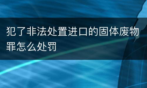 犯了非法处置进口的固体废物罪怎么处罚