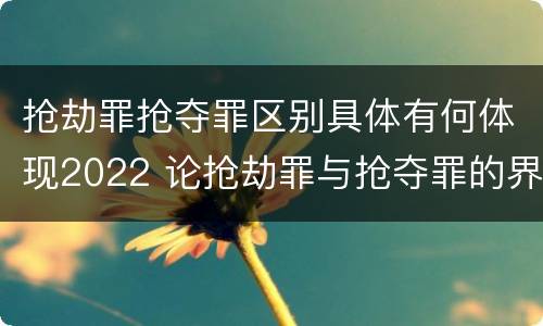 抢劫罪抢夺罪区别具体有何体现2022 论抢劫罪与抢夺罪的界限