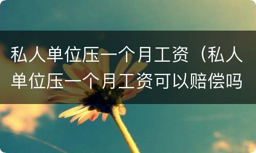 私人单位压一个月工资（私人单位压一个月工资可以赔偿吗?）