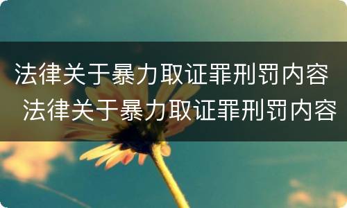 法律关于暴力取证罪刑罚内容 法律关于暴力取证罪刑罚内容的规定