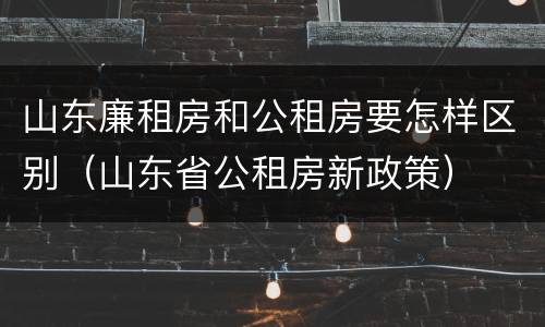 山东廉租房和公租房要怎样区别（山东省公租房新政策）