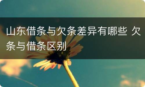 山东借条与欠条差异有哪些 欠条与借条区别
