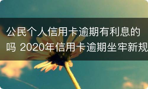 公民个人信用卡逾期有利息的吗 2020年信用卡逾期坐牢新规已定,你可要小心了!