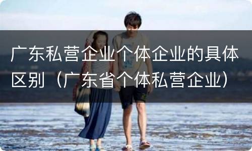 广东私营企业个体企业的具体区别（广东省个体私营企业）