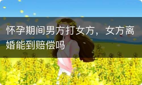 怀孕期间男方打女方，女方离婚能到赔偿吗