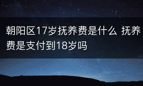 朝阳区17岁抚养费是什么 抚养费是支付到18岁吗