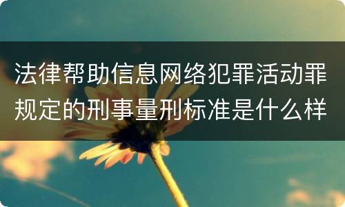 法律帮助信息网络犯罪活动罪规定的刑事量刑标准是什么样的