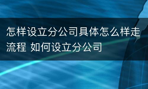 怎样设立分公司具体怎么样走流程 如何设立分公司