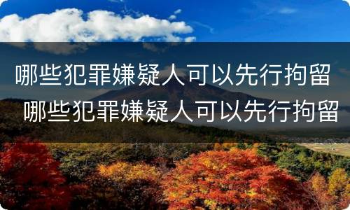 哪些犯罪嫌疑人可以先行拘留 哪些犯罪嫌疑人可以先行拘留