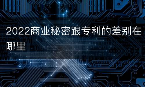 2022商业秘密跟专利的差别在哪里