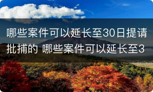 哪些案件可以延长至30日提请批捕的 哪些案件可以延长至30日提请批捕的期限