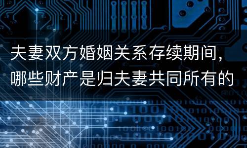 夫妻双方婚姻关系存续期间，哪些财产是归夫妻共同所有的